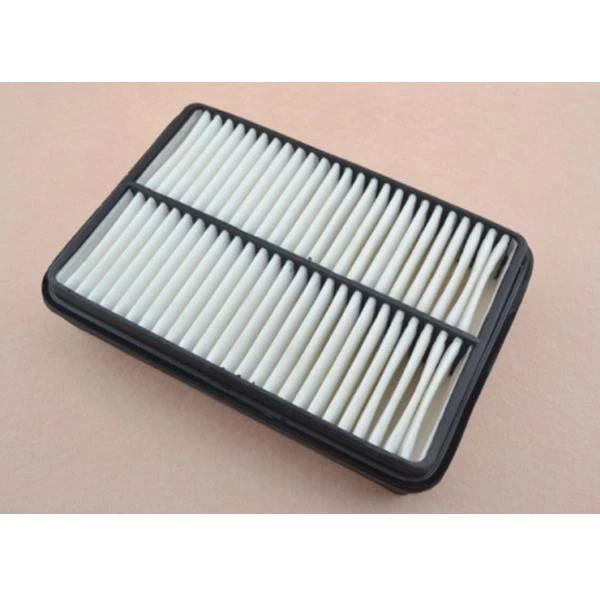 Dry  Air Filter2